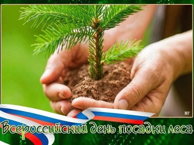 День леса.