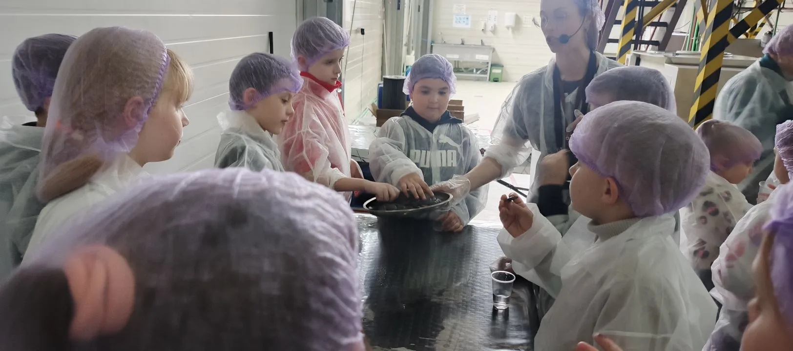 Путешествие в «Страну шоколада.