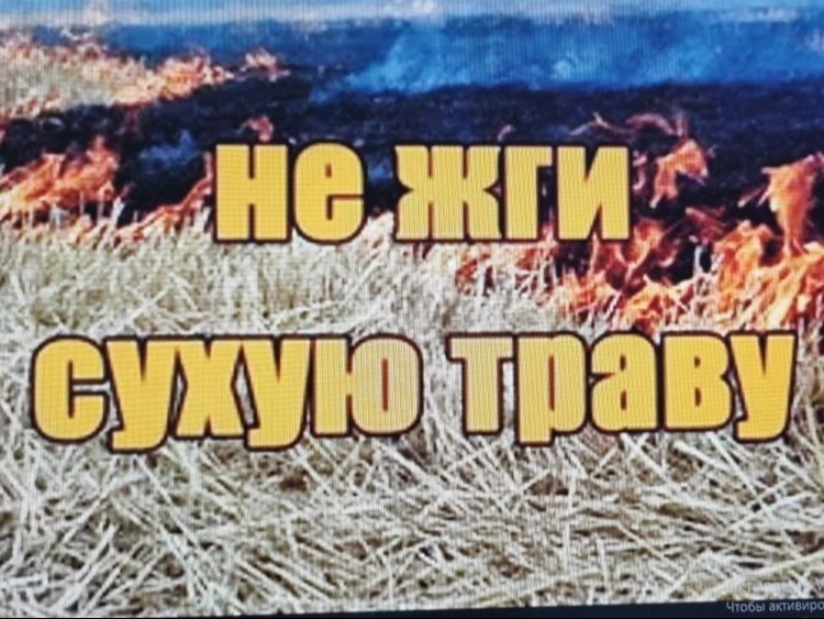 Пал сухой травы — это крайне опасное явление.