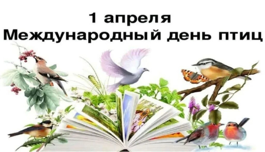 День птиц.